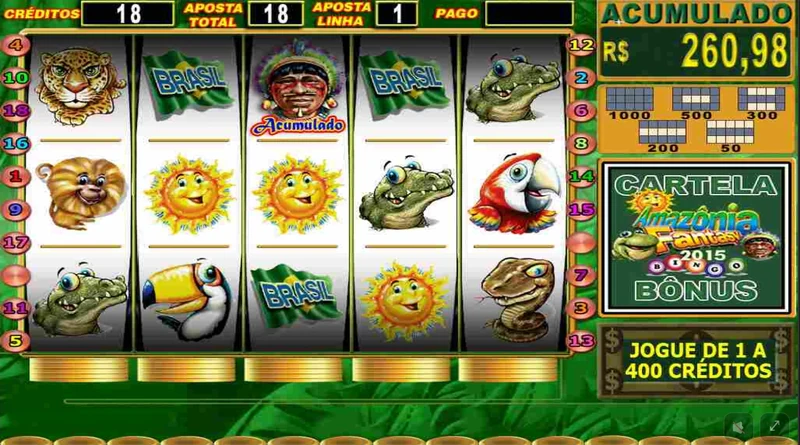 Bingo Amazonia